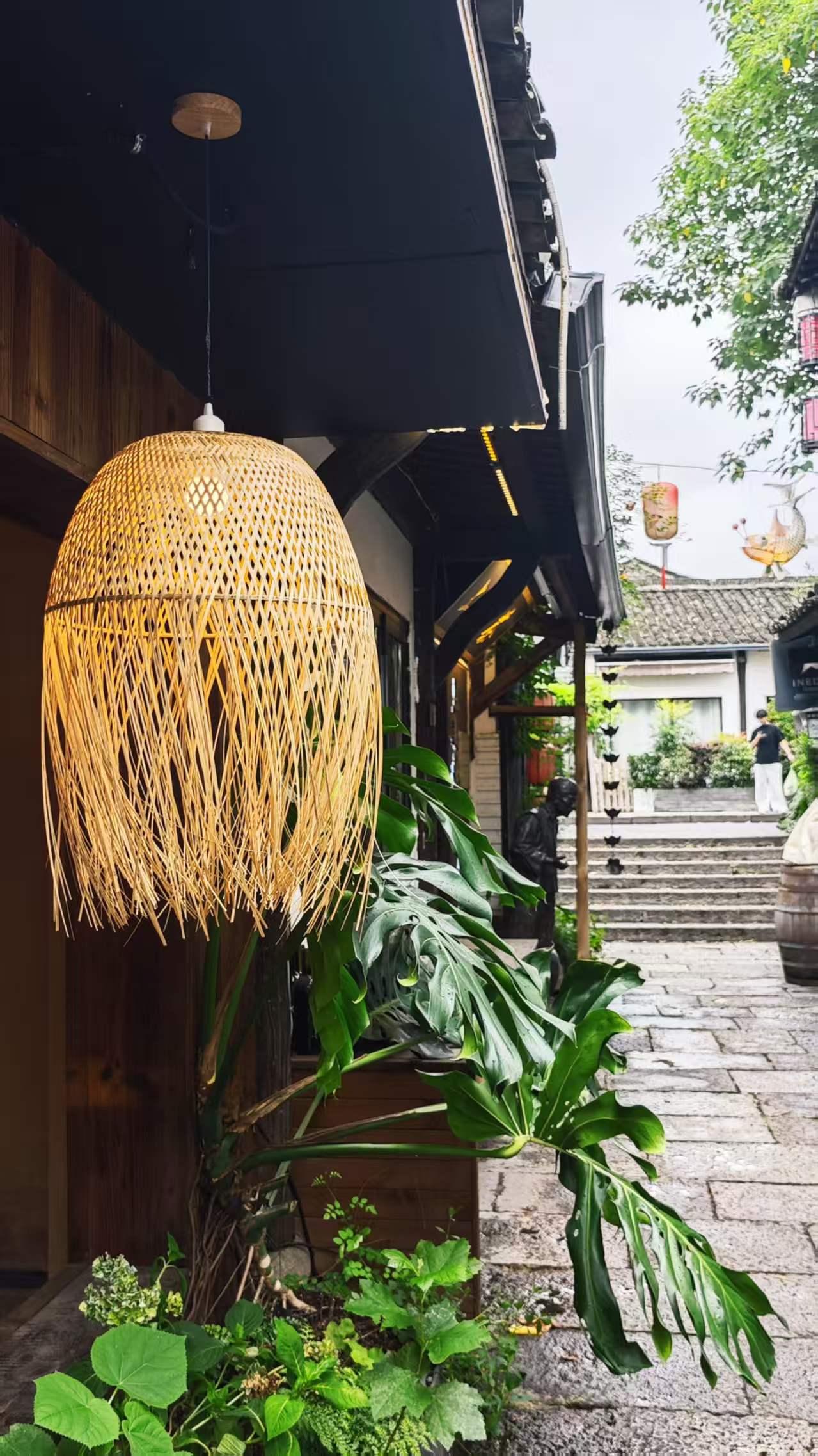 黄花梨